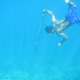 A Bajua diver hunts fish.